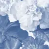 Ophelia Blue