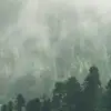 Misty Valley