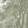 Hackfall Green