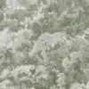 Buttonwood Sage