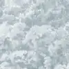 Buttonwood Blue
