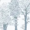 Timber Blue