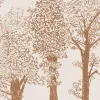 Timber Brown