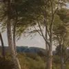 Delhoved Forest Dark