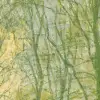 Coppice Green