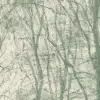 Coppice Teal