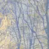 Coppice Blue