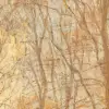 Coppice Orange