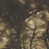 Smokey Forest Classic