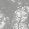 Smokey Forest Grey