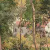 Wild Wood Classic