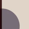 Ponti