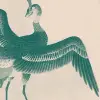 Kujaku Teal