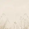 Grasslands Neutral