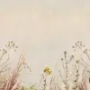 Grasslands Dusk
