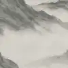Kiriyama Charcoal