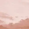 Sunset Pink