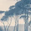 Tivoli Blue