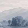 Hayfield Blue