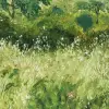 Barley Fields Green