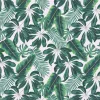 Tropic