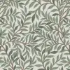 Bay Willow Sage