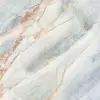Cast