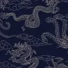 Dynasty Navy