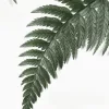 Fernery