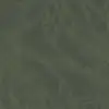 Thicket Green