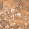 Autumn Leaves