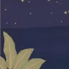 Sundara Night