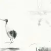 Qinghua