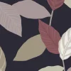 Oxalis