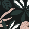 Begonia Dark