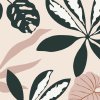 Begonia