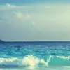 Swell