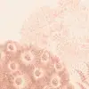 Reef Peach