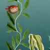 Under The Sea Teal