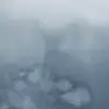 Rise