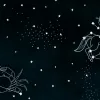 Zodiac