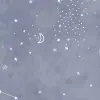 Celestial Navy