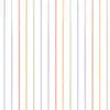Sailor Rainbow