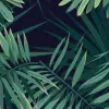 Branch