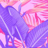 Everglades Pink