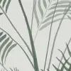 Kentia