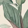 Botanist