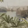 Valley of Palms