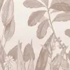 Oasis Neutral