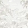 Lacandon Grey